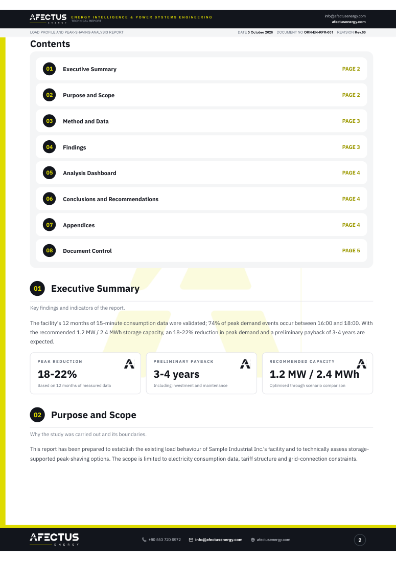 Sample analysis report, executive summary page preview